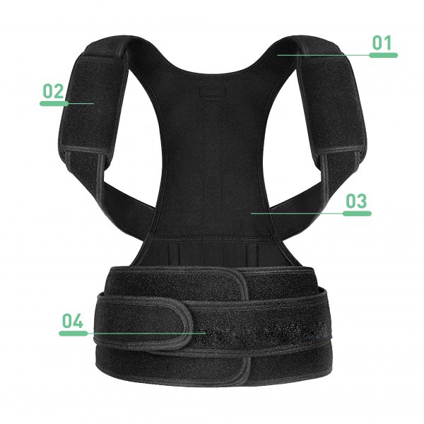 full back brace