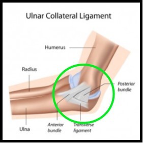 tennis-elbow