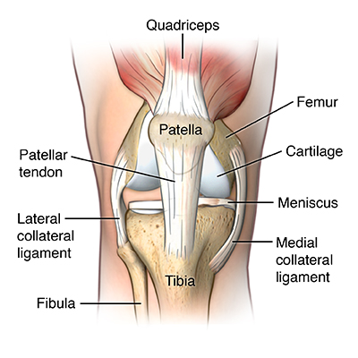 Patellasehnenentzündung