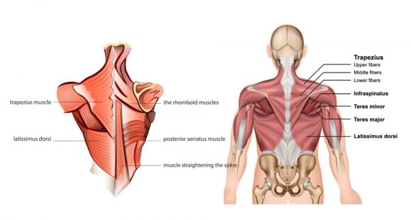 Upper Back Pain:Symptoms, Causes, Treatment By Back Braces