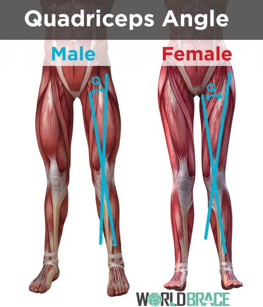 quadricep-angle-lateral-patellar