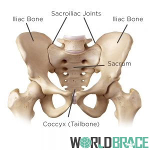 sacroiliac-joint-dysfunction-ana