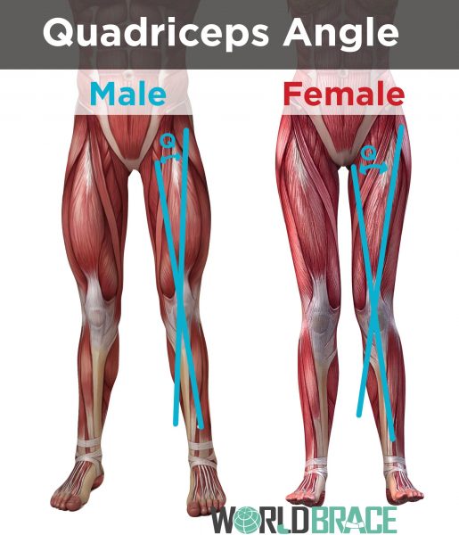 quadriceps-angle-latéral-patellaire