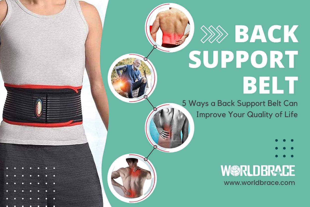 Back Support Belt