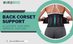 Back Corset Support