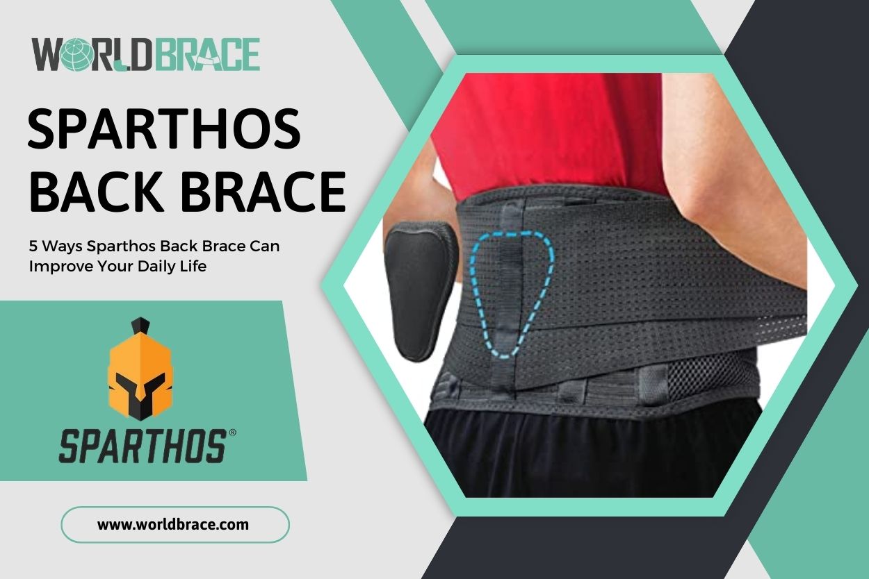 Sparthos Back Brace